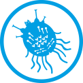 Sarcoptes icon