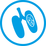 Lungworm icon with text prevents lungworm