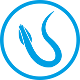 Roundworm icon with text controls roundworms