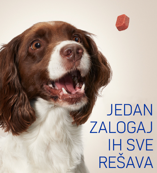 Pakovanje za velike pse preko 30 kilograma. Za pse preko 60 kg koristiti odgovarajuću kombinaciju tableta za manje pse.